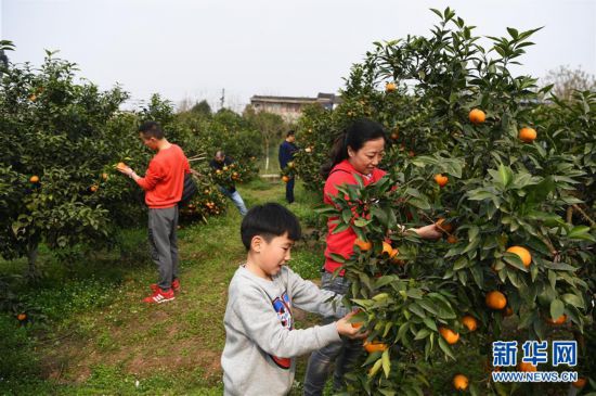 ����(j��ng)������1���ָ����˰��ռ�