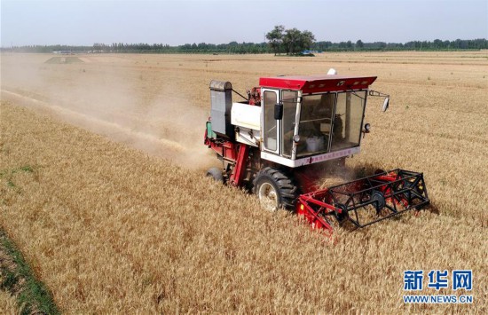 ����(j��ng)������3���ӱ��������ġ�æ����