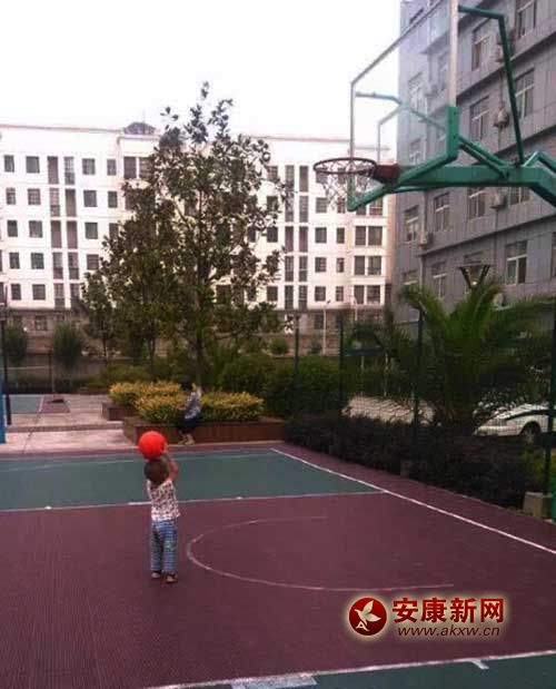 ��������Ͷ�@��