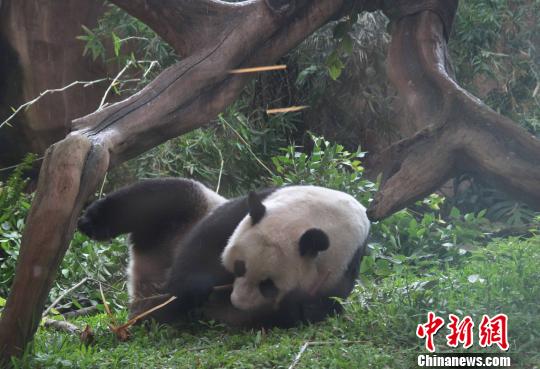 �D�顰�����������似��(c��)�L������������ �z