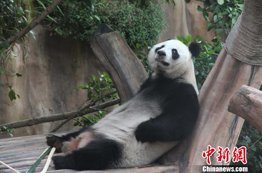 �D�顰���������ژ�����u�ȡ��������� �z