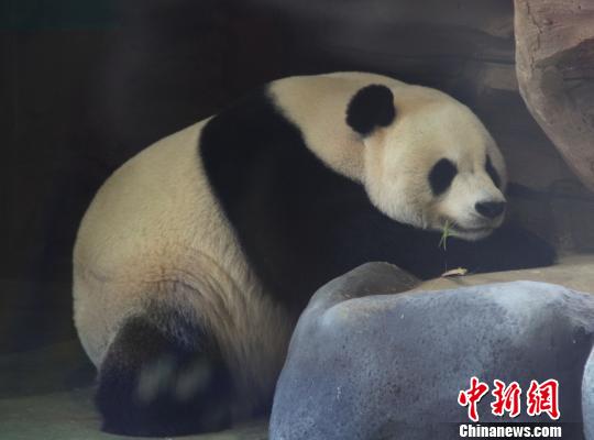 �D�顰���ա��ڴ��˯���������� �z