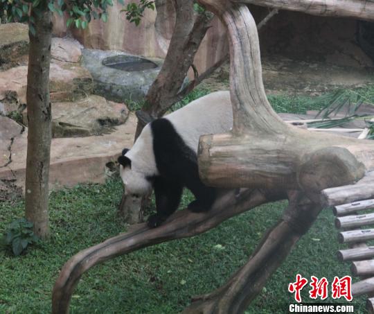 �D�顰�������ߡ���ľ������������ �z