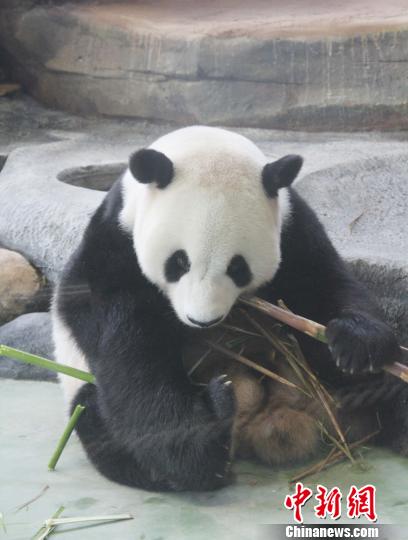 �D�顰���ա��ڳ����ӡ��������� �z