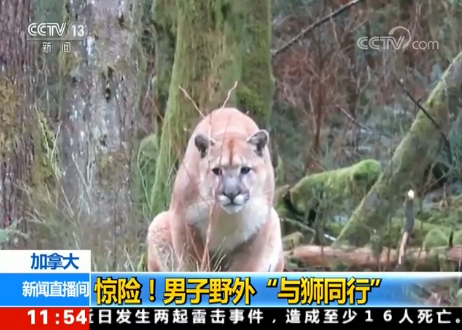 ���ô��@�U(xi��n)������Ұ�⡰�c�{ͬ�С�