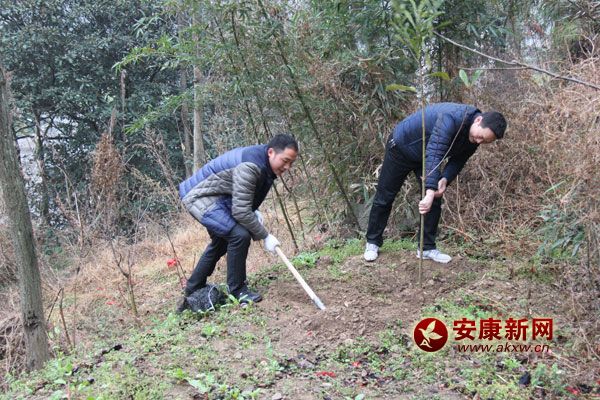 3��11�������޿hֱ�C(j��)�P(gu��n)300���˅����x��(w��)ֲ��(sh��)���(d��ng)����(d��ng)����ֲ���˘�(sh��)1400�á�ԓ�hӋ(j��)������G������6.2�f(w��n)�������д�����