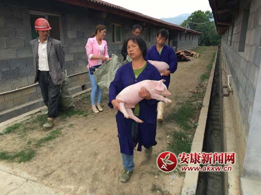 ��ؚ�������i�� (2).jpg