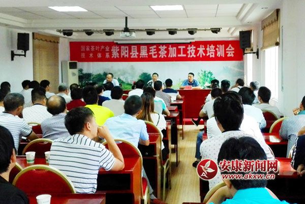 紫陽黑毛茶加工培訓(xùn)會01_副本.jpg