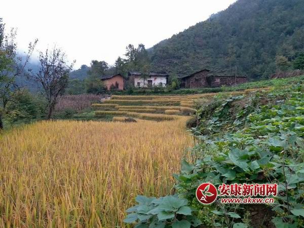 �{����С mmexport1508136770513.jpg