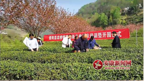 ���(y��ng)�ߘ��(zh��n)�����_������