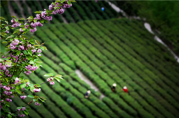 ����(l��i)��@���L(f��ng)��