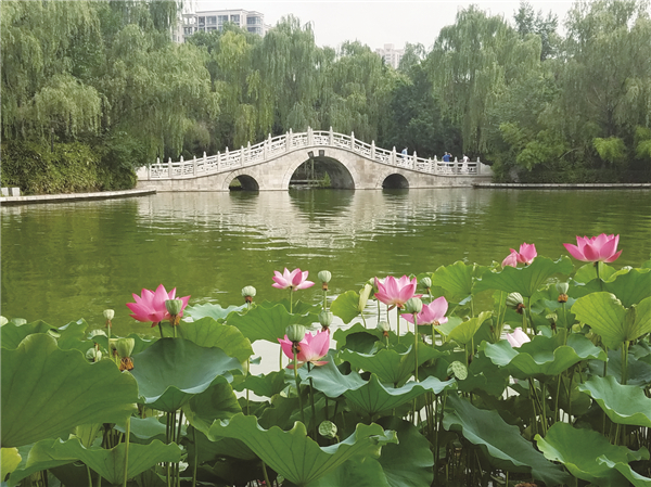  �L(f��ng)��(d��ng)ɏ������G���M�D��