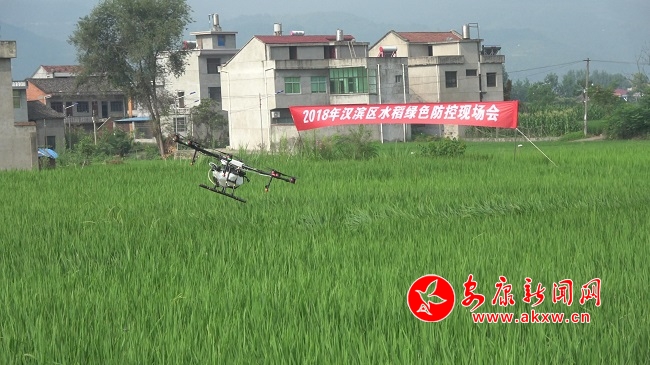 �o�˙C(j��)�@����  �����(n��i)æ�w��.jpg