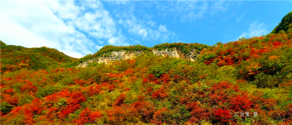 �Ĝϗ��~���t�r