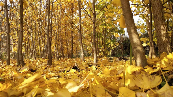 ������  �S�~��