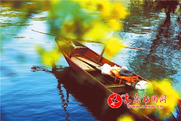 ����֮��