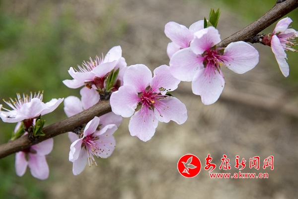 ��Ϫ�(zh��n)�P���� �L(f��ng)���@߅����