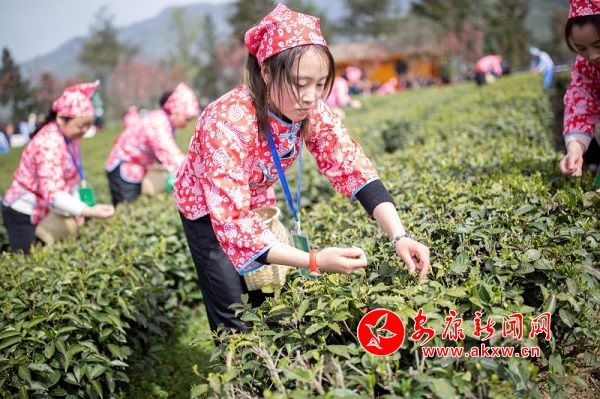 ���(y��ng)23�f��������@ʢ���_�@