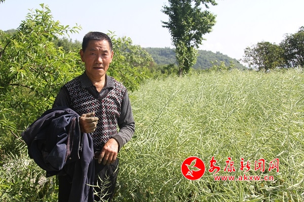 67�q�ď����F�����������e(cu��)��������Ͳ������������f��ȥ�����µ�600��߀�������������u�������Լ��̓���������������̤��(sh��)