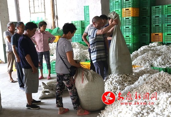 ʯȪ�غӴ����Q�O��ُ����ͻ��4�f�� �zӰ�·�·.jpg