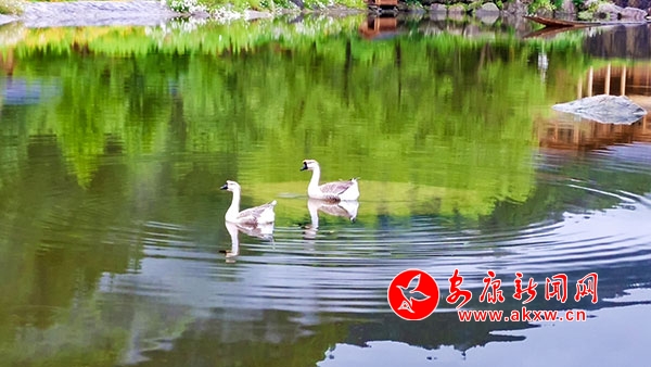 �G�����?n��i)��?sh��)�箋(hu��)