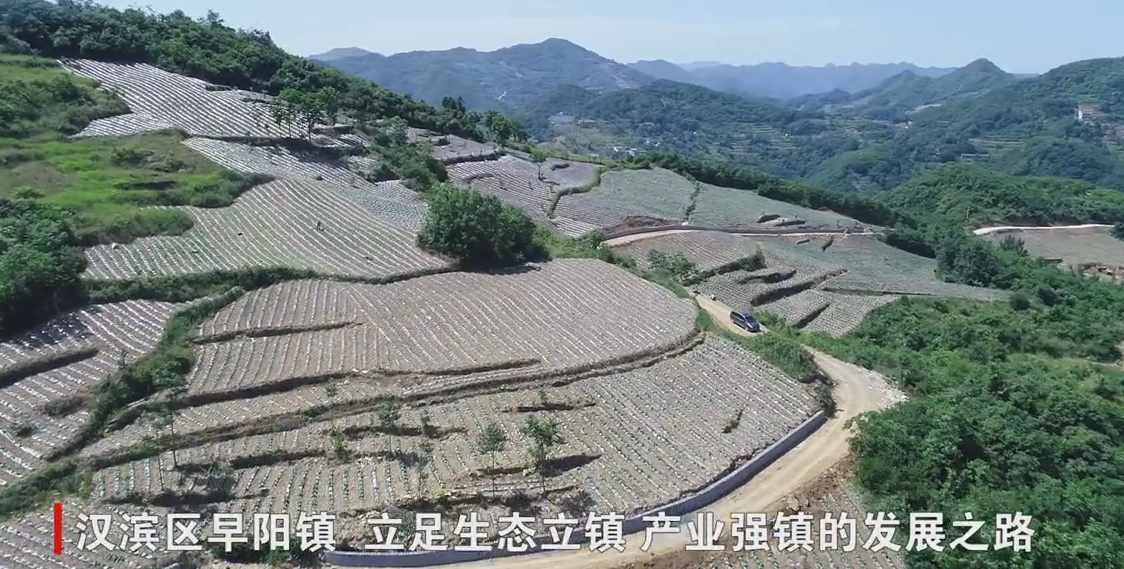 �h�I�^(q��)����(zh��n)�������l(f��)չ����(d��o)�a(ch��n)�I(y��) �����l(xi��ng)�����d���A(ch��)