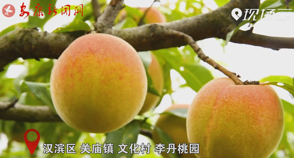 ҕ�� | ��҈@����������