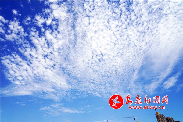 �{�����ӳ����