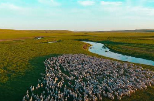 �ڰ������Ї��������}��(chu��ng)���������\�CС����