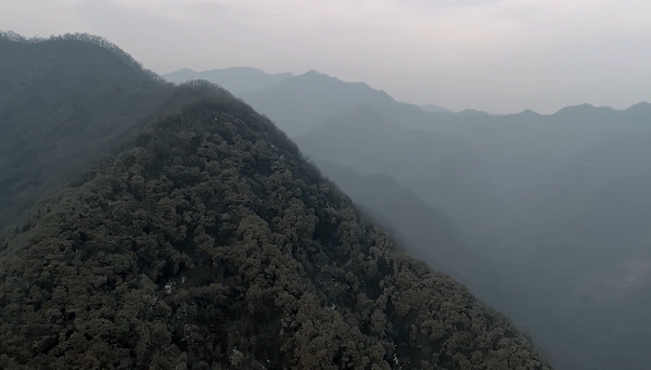 ���Č�������x���ărֵ�^���}΢�Ӱ��(y��u)����Ʒչ��������b����Ը��