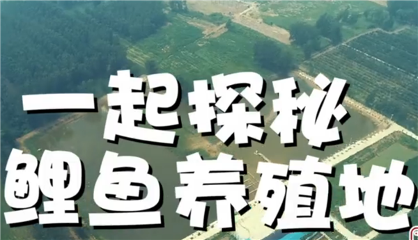 ȫ����Óؚ���ԡ���(y��u)��o�Ƭչ����ϵ�мo�Ƭ���ߴ�ֱ����Óؚ��֮��