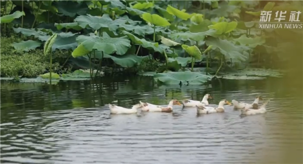 ȫ����Óؚ���ԡ���(y��u)��o�Ƭչ�����μ�ӰƬ�R�����Һ��ҵ��H�ˡ�