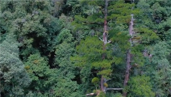 ȫ����Óؚ���ԡ���(y��u)��o�Ƭչ��������Խŭ������������ؓ��ɽ