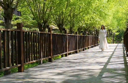 ꖹ��đB(t��i)���ɾ���������