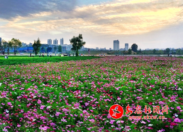 �����������ǖ|�^(q��)����ȥ