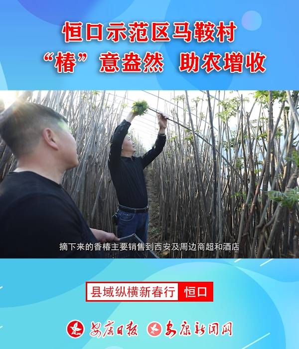 ���ʾ���^(q��)�R���塰�����ⰻȻ ���r(n��ng)����