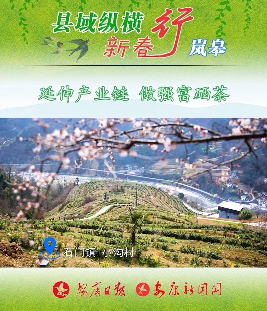 ����a(ch��n)�I(y��)� ����������