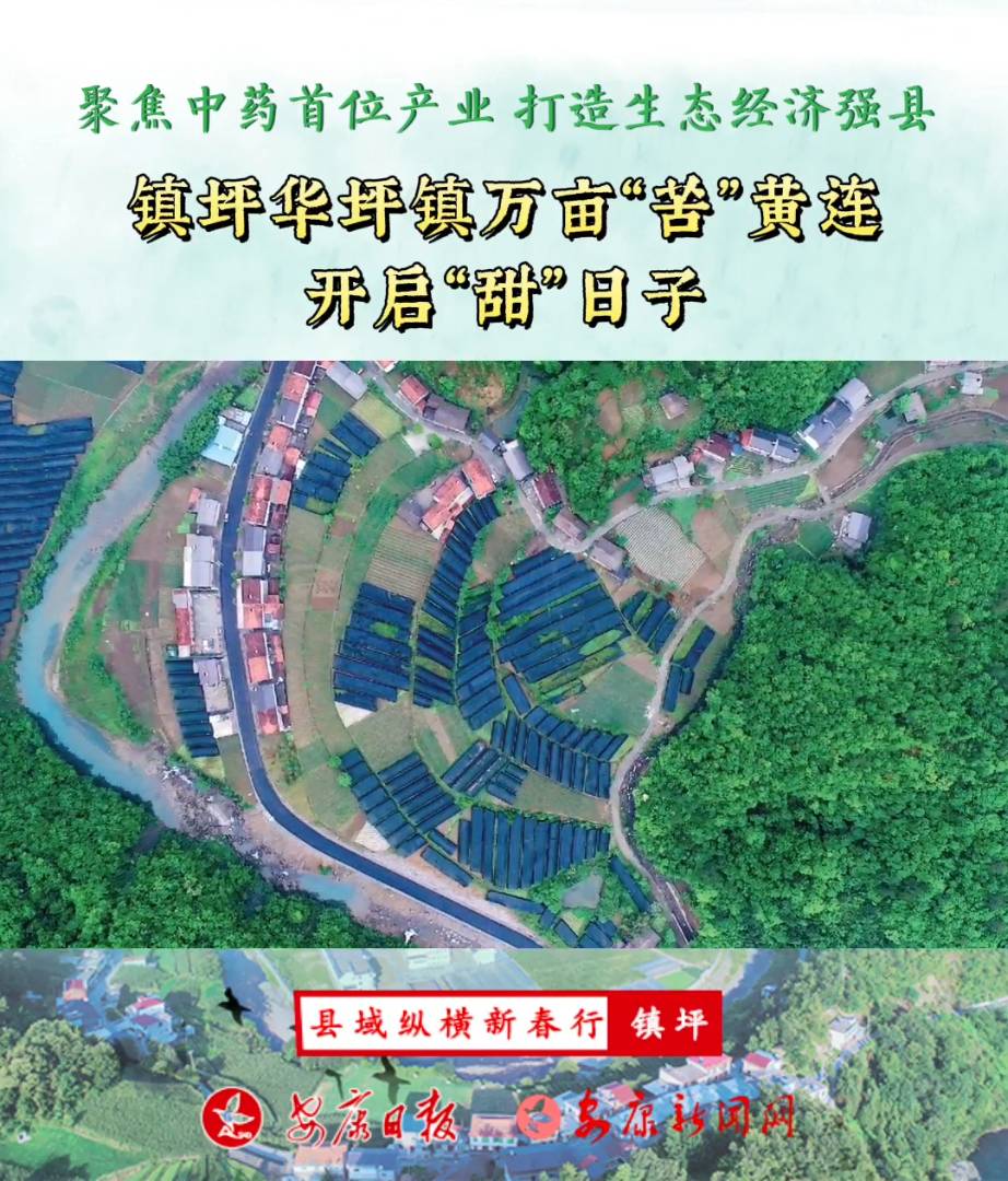 �(zh��n)ƺ�Aƺ�(zh��n)�f�����ࡱ�S�B�_����������