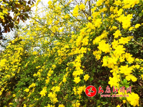 ���_(k��i)�hꎝM�Ǵ�