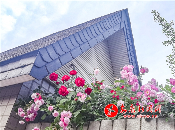 �Nޱ��ʢ�_(k��i)