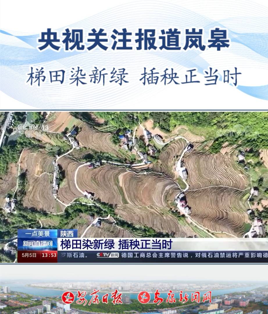 ��ҕ�P(gu��n)ע��(b��o)�����޿h�όmɽ�(zh��n)�𻨴塪��������Ⱦ�¾G ��������(d��ng)�r(sh��)����