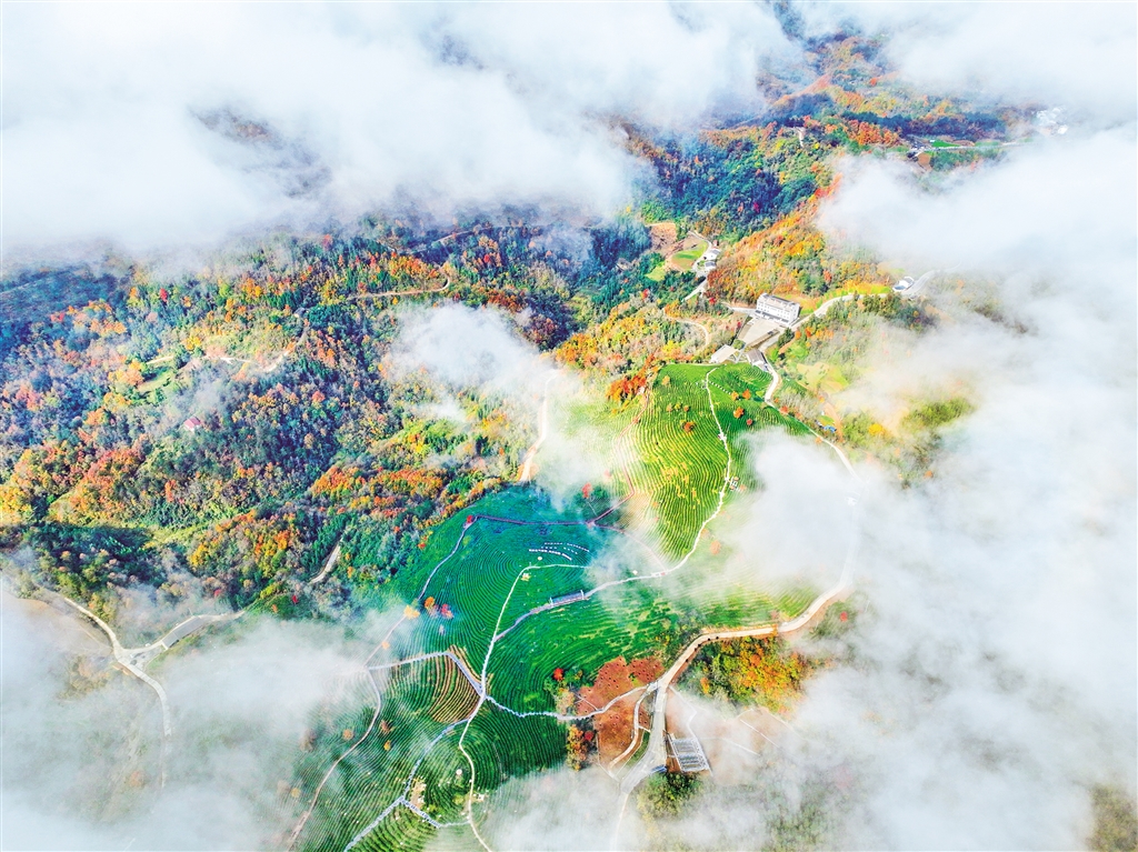 �����l(xi��ng)�����F�@