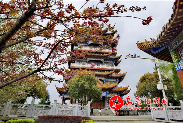 �hꎿh�������@�ѻ�ʢ�_������