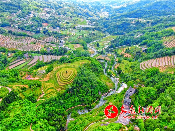 �hꎣ������P��