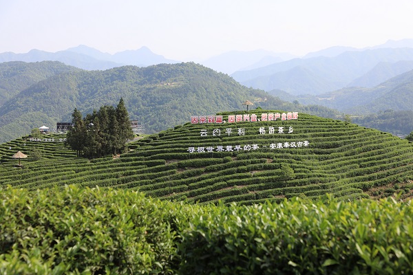 2023�����H���ա��Ї��������(d��ng)�ڼ� ����늾W(w��ng)ȫ�������