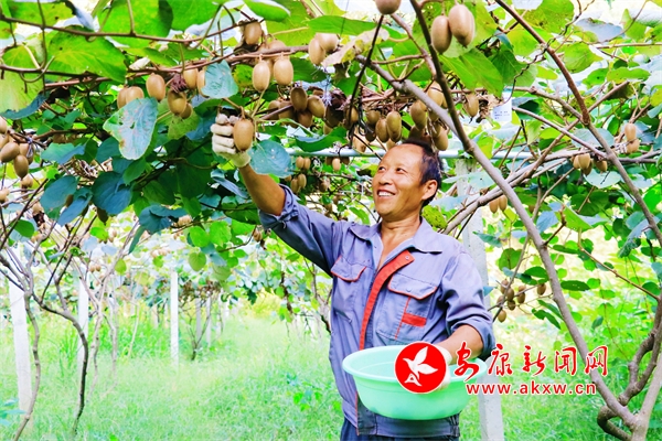 �𡰫J�����u���^�����(zh��n)�J����ϲ�@�S��