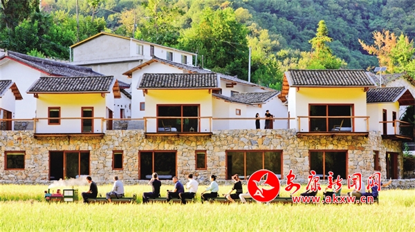 ������ɫ�n����