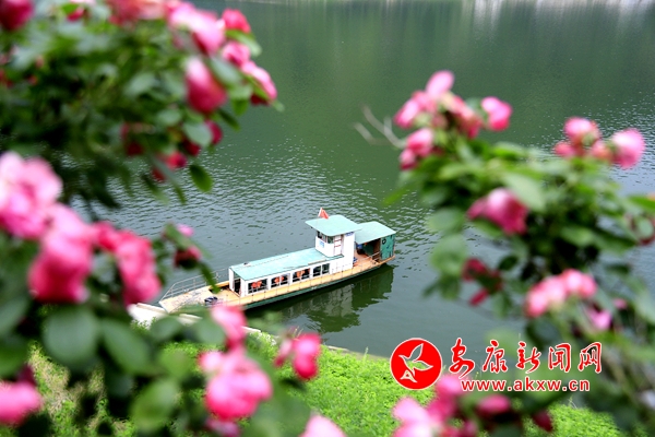 �̲�ʎ��ӳ��Ӱ