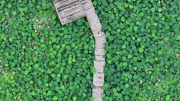 ��������������