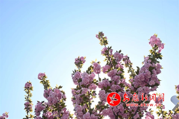 Ѧ�Ҟ������ѩ